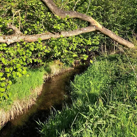 Feriehus 4 Person In Haderslev-by Traum