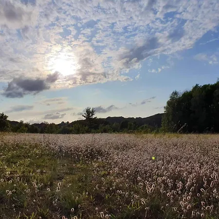 Feriehus 4 Person In Haderslev-by Traum