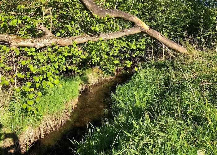 Prázdninový dům 4 Person In Haderslev-by Traum
